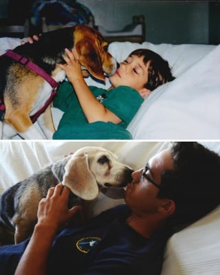 Illustration de l'article : 12 photos avant/apr&egrave;s de chats et chiens qui ont grandi avec leur humain pr&eacute;f&eacute;r&eacute;