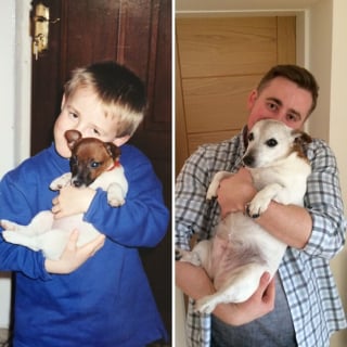 Illustration de l'article : 12 photos avant/apr&egrave;s de chats et chiens qui ont grandi avec leur humain pr&eacute;f&eacute;r&eacute;