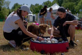 Illustration de l'article : Au Village de Canidays avec Hill’s, vivez un moment festif avec votre chien et rencontrez des passionnés du monde canin
