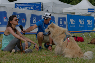 Illustration de l'article : Au Village de Canidays avec Hill’s, vivez un moment festif avec votre chien et rencontrez des passionnés du monde canin