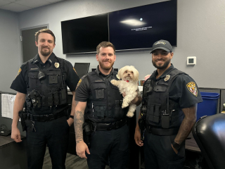 Illustration de l'article : Vol&eacute;s dans une clinique v&eacute;t&eacute;rinaire, 3 chiens sont retrouv&eacute;s indemnes apr&egrave;s l'arrestation de deux mineurs