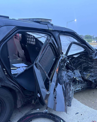 Illustration de l'article : Blessé par un automobiliste distrait, ce chien policier quitte la clinique sous les applaudissements une semaine après le terrible accident (vidéo)
