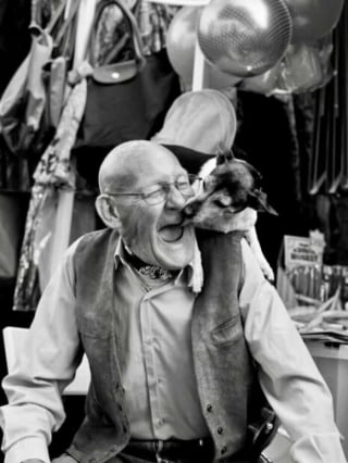 Illustration de l'article : 13 photos prouvant que les chats et les chiens peuvent être à la fois drôles et touchants