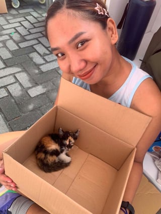 Illustration de l'article : Epuisée lors d'une course à pied, elle découvre un chaton errant et franchit la ligne d'arrivée avec lui avant de l'adopter
