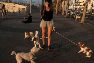 Illustration de l'article : 15 photos de chiens qui posent à la perfection devant l’objectif d’un photographe d’art