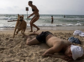 Illustration de l'article : 15 photos de chiens qui posent à la perfection devant l’objectif d’un photographe d’art