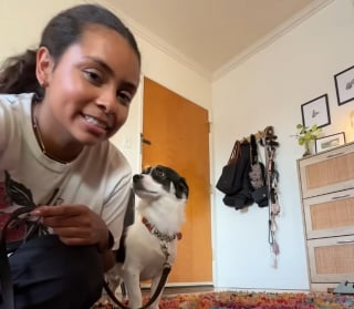 Illustration de l'article : Ce chien d'une extr&ecirc;me timidit&eacute; trouve le courage de sauter sur les genoux de sa m&egrave;re d'accueil au bout de 27 jours