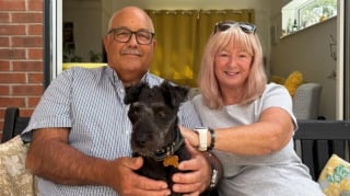 Illustration de l'article : Après avoir été gravement mordue au visage par une vipère cette chienne survit pour retrouver ses maîtres