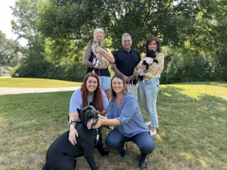 Illustration de l'article : Découverte par la police dans un champ avec une balle logée dans la mâchoire, cette chienne s'en remet et sera bientôt adoptée