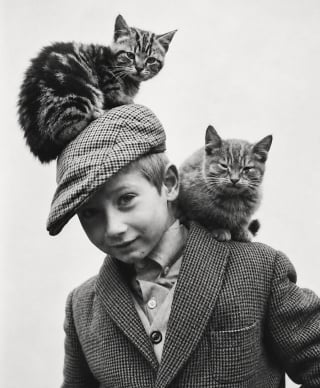 Illustration de l'article : 12 photos vintage qui prouvent que les chats ont toujours occup&eacute; une place particuli&egrave;re dans nos vies