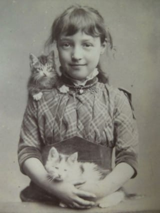 Illustration de l'article : 12 photos vintage qui prouvent que les chats ont toujours occup&eacute; une place particuli&egrave;re dans nos vies