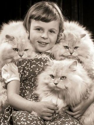 Illustration de l'article : 12 photos vintage qui prouvent que les chats ont toujours occup&eacute; une place particuli&egrave;re dans nos vies