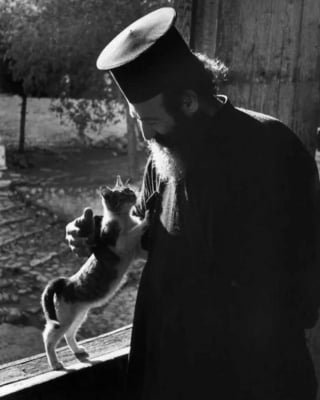 Illustration de l'article : 12 photos vintage qui prouvent que les chats ont toujours occup&eacute; une place particuli&egrave;re dans nos vies