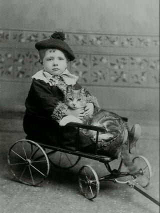 Illustration de l'article : 12 photos vintage qui prouvent que les chats ont toujours occup&eacute; une place particuli&egrave;re dans nos vies