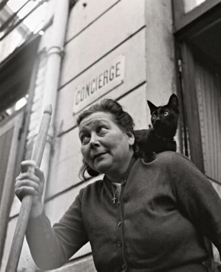 Illustration de l'article : 12 photos vintage qui prouvent que les chats ont toujours occup&eacute; une place particuli&egrave;re dans nos vies
