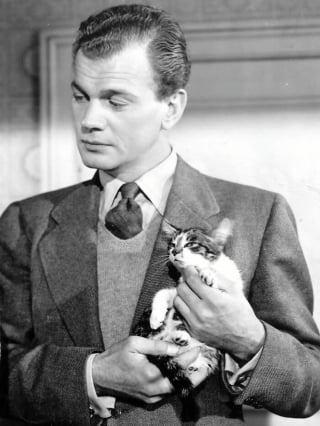 Illustration de l'article : 12 photos vintage qui prouvent que les chats ont toujours occup&eacute; une place particuli&egrave;re dans nos vies