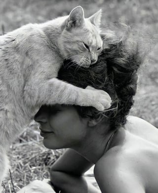 Illustration de l'article : 12 photos vintage qui prouvent que les chats ont toujours occup&eacute; une place particuli&egrave;re dans nos vies