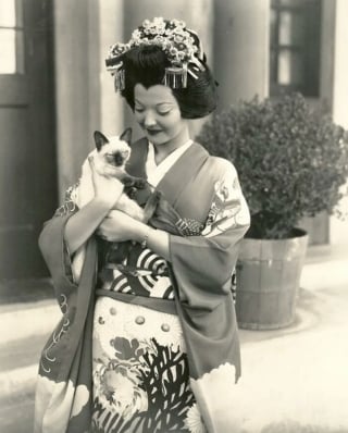 Illustration de l'article : 12 photos vintage qui prouvent que les chats ont toujours occup&eacute; une place particuli&egrave;re dans nos vies