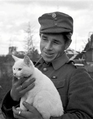 Illustration de l'article : 12 photos vintage qui prouvent que les chats ont toujours occup&eacute; une place particuli&egrave;re dans nos vies