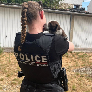 Illustration de l'article : Abandonné dans l’obscurité d’un garage au milieu des débris, ce chiot de 4 semaines doit son salut au signalement d’un voisin (vidéo)