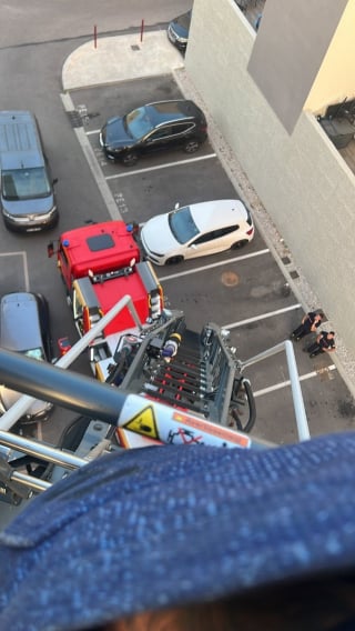 Illustration de l'article : À Perpignan (66), les pompiers déploient une nacelle pour sauver une chienne laissée attachée plusieurs jours sur un balcon insalubre