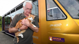 Illustration de l'article : Recueillie par un café de gare, cette ancienne chatte errante devient officiellement l'employée d’une compagnie ferroviaire (vidéo)
