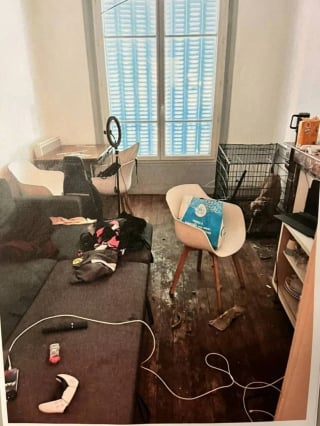 Illustration de l'article : Enferm&eacute;e dans une cage au c&oelig;ur d&rsquo;un appartement naus&eacute;abond, cette chienne de 2 ans est sauv&eacute;e et recherche une famille d&rsquo;accueil