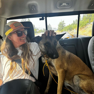 Illustration de l'article : Des secouristes de montagne en entraînement attirent une chienne perdue avec des morceaux d'omelette et la restituent saine et sauve à sa famille