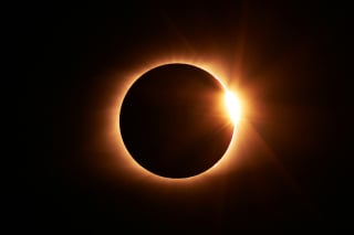 Illustration de l'article : &Eacute;clipse solaire du 12 ao&ucirc;t, faut-il prot&eacute;ger votre chien ou votre chat ?