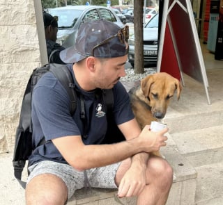 Illustration de l'article : Tombé sous le charme d’un chien errant en vacances, un couple débourse près de 7000 euros pour l'adopter