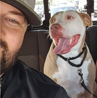 Illustration de l'article : « Je le referais sans hésiter une seconde », un homme parcourt 600 km pour adopter une chienne croisée Pitbull de refuge