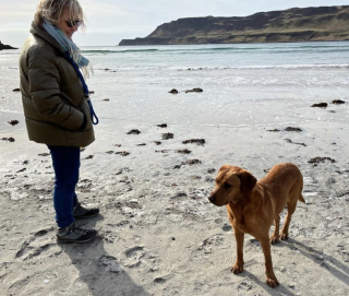 Illustration de l'article : Alors que ses propriétaires sont en vacances, une chienne mordue par une vipère affronte plusieurs complications avant de guérir