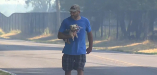 Illustration de l'article : Les larmes de joie d'une femme voyant un voisin héroïque lui ramener son chien perdu lors de l'incendie ayant détruit sa maison (vidéo)