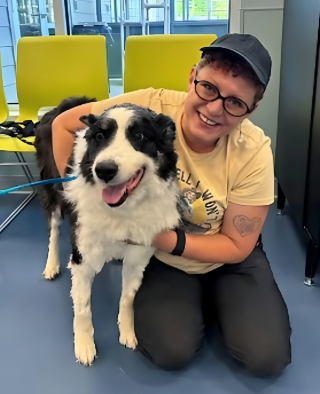 Illustration de l'article : Elle prend l'avion pour revoir son Border Collie &agrave; plus de 1600 km de chez elle apr&egrave;s 2 semaines de recherches (vid&eacute;o)
