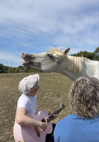 Illustration de l'article : « Regardez ce sourire ! », un cheval curieux s'approche de 2 musiciens et se détend en écoutant leur chanson (vidéo)