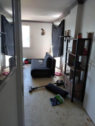 Illustration de l'article : 3 chiens abandonnés sans eau ni nourriture en Seine-et-Marne doivent leur survie à des voisins qui ont donné l'alerte