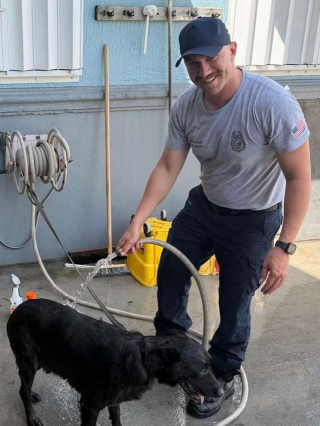 Illustration de l'article : « L’un des pompiers l’a recueilli chez lui », les secouristes pensaient sauver des canetons, mais aident un chien abandonné dans une poubelle