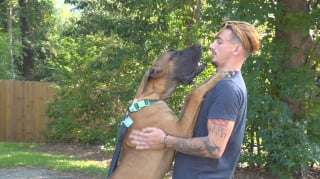 Illustration de l'article : Alors que les flammes d&eacute;truisent la totalit&eacute; de ses biens, cet homme n&rsquo;a qu&rsquo;une priorit&eacute;, sauver son Dogue Allemand &agrave; tout prix