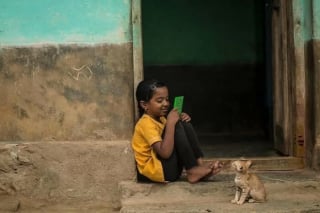 Illustration de l'article : 12 photos de chats errants immortalisés par un photographe de rue