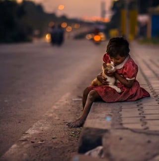 Illustration de l'article : 12 photos de chats errants immortalisés par un photographe de rue