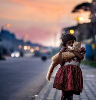 Illustration de l'article : 12 photos de chats errants immortalisés par un photographe de rue