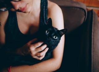 Illustration de l'article : 7 moyens d&rsquo;aider votre chat &agrave; se sentir en s&eacute;curit&eacute; avec vous