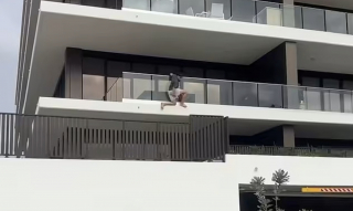 Illustration de l'article : Un garçon de seulement 12 ans escalade un immeuble pour sauver un chiot en détresse coincé sur une corniche