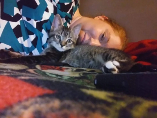 Illustration de l'article : Par « un heureux hasard », ce chaton abandonné de 3 semaines miaule sous une fenêtre et trouve celle qui deviendra sa maîtresse