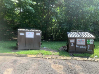 Illustration de l'article : Abandonnés dans un panier près d'une benne à ordures, 4 chiots nouveau-nés s'accrochent à la vie en recevant des soins jour et nuit