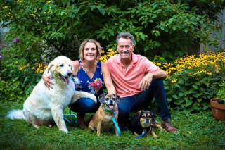 Illustration de l'article : Après avoir adopté un Patou sauvé de la maltraitance ce couple crée un sanctuaire pour animaux rejetés