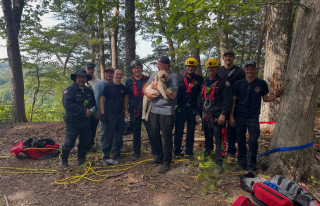 Illustration de l'article : Ce chien, coincé sur une corniche pendant 17 heures après une chute de 60 mètres, est sauvé par les pompiers (vidéo)