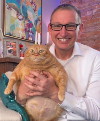 Illustration de l'article : Apr&egrave;s avoir perdu sa ma&icirc;tresse cette chatte ob&egrave;se se bat pour maigrir chez le directeur d'une association (vid&eacute;o)