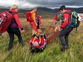 Illustration de l'article : Pour rassurer son chien bless&eacute; apr&egrave;s une chute en montagne, ce propri&eacute;taire n'h&eacute;site pas &agrave; partager sa civi&egrave;re (vid&eacute;o)