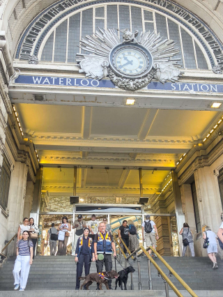Illustration de l'article : Avant leur retraite, ces 3 chiens sont d&eacute;sormais charg&eacute;s de renforcer la s&eacute;curit&eacute; des voyageurs dans une gare particuli&egrave;rement fr&eacute;quent&eacute;e